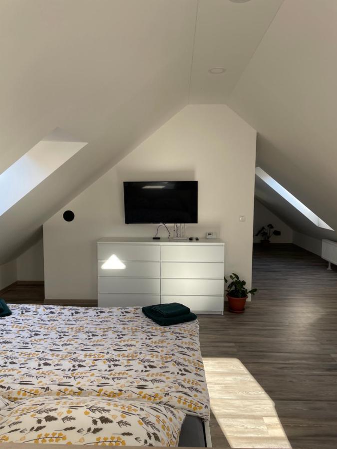 Apartman Janov Janov nad Nisou Buitenkant foto